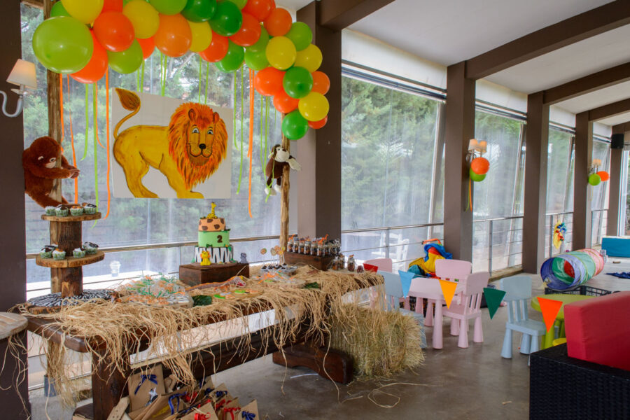 thematiko paidiko party safari candy bar