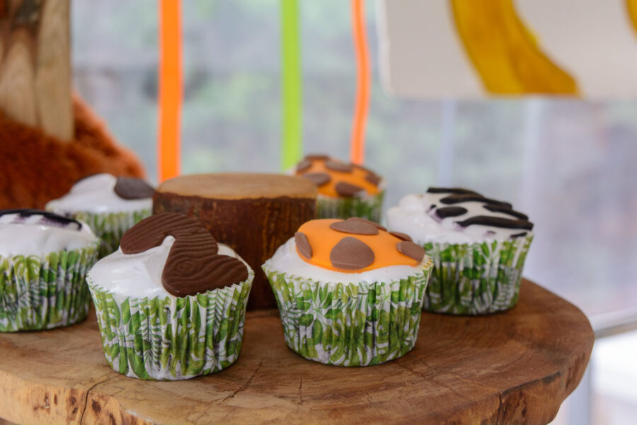 thematiko paidiko party safari candy bar cup cakes